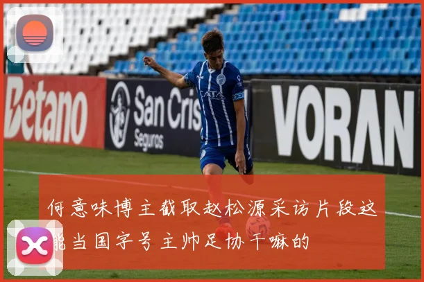何意味博主截取赵松源采访片段这能当国字号主帅足协干嘛的
