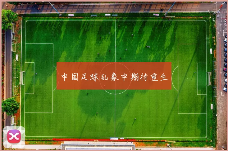 中国足球乱象中期待重生